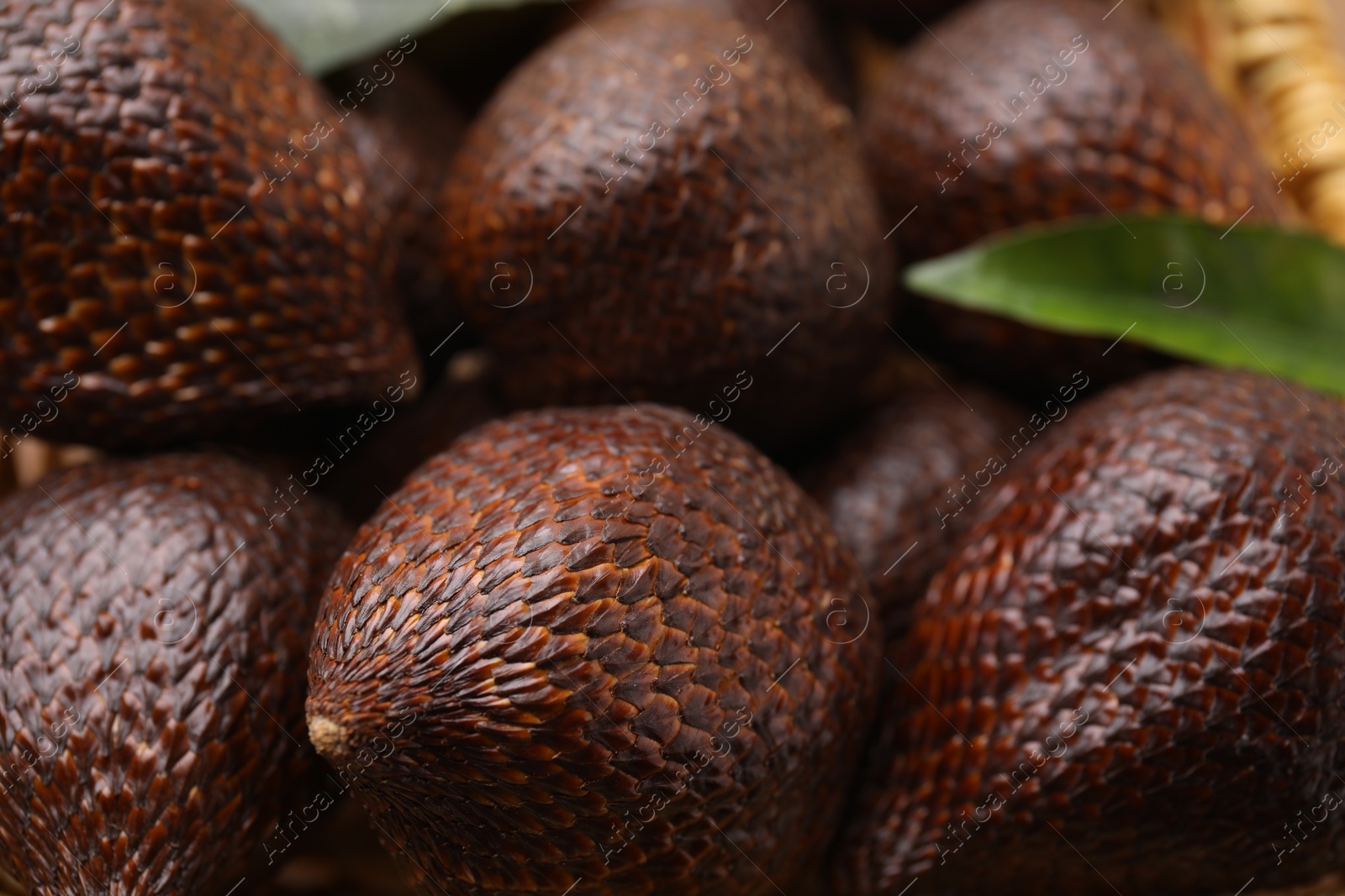 Photo of Delicious salak fruits and green leaf, closeup