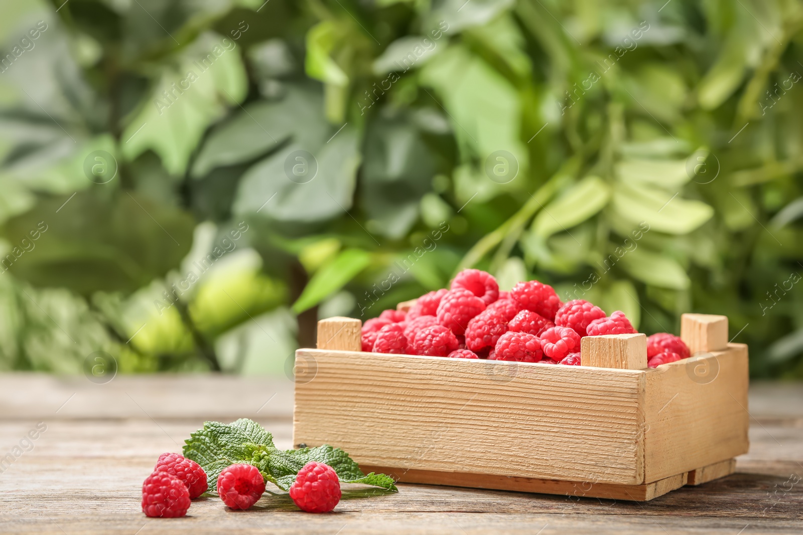 Photo of Crate with ripe aromatic raspberries on table against blurred background