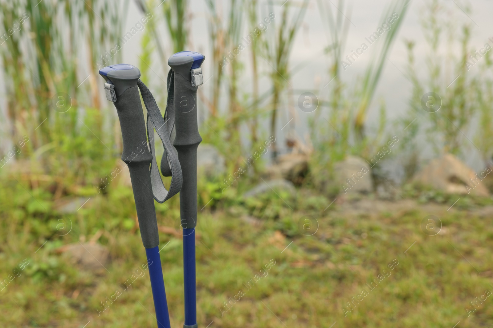 Photo of Two Nordic walking poles near lake outdoors, closeup. Space for text