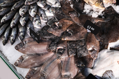 Photo of Different types of fresh fish on ice in supermarket, top view