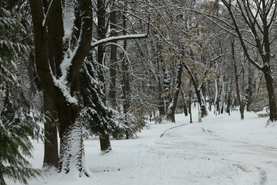 Photo of Picturesque view of beautiful snowy park on winter day