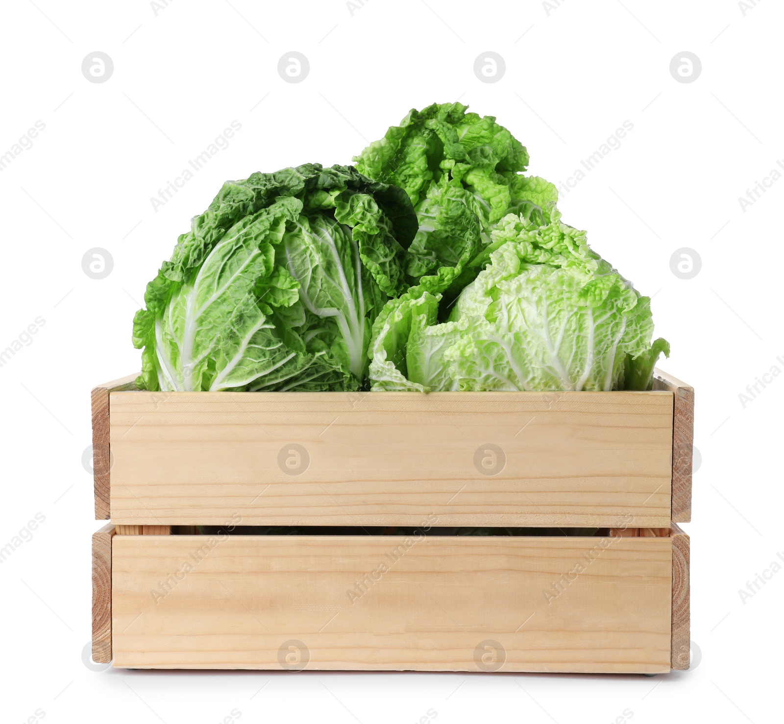 Photo of Wooden crate full of fresh Chinese cabbages isolated on white