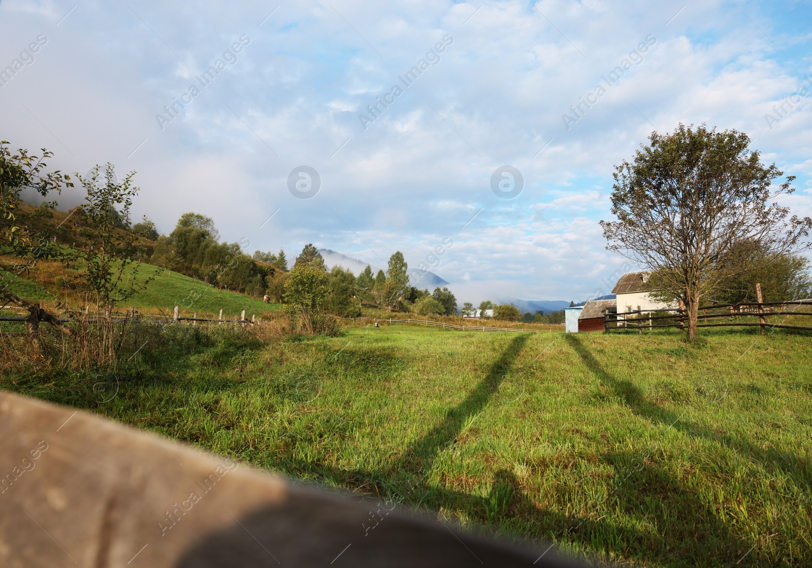 Photo of Picturesque mountain landscape with wooden fence and green trees in morning