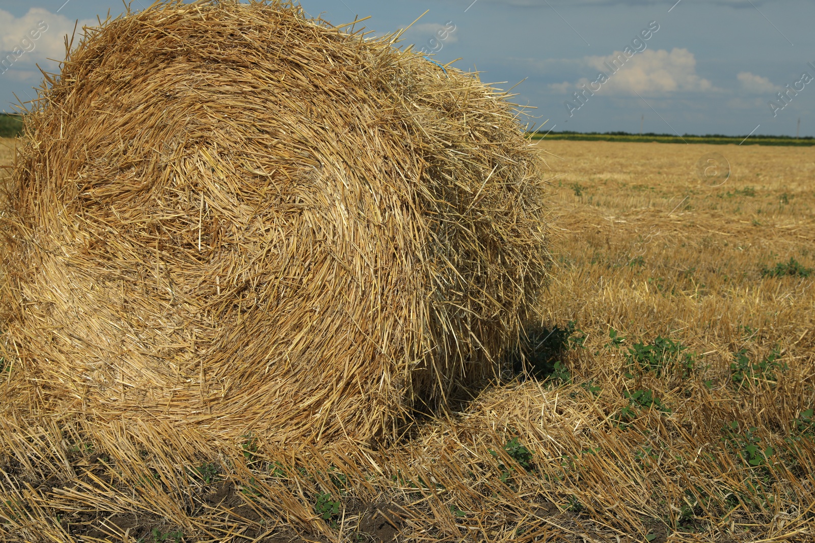 Photo of Beautiful view of agricultural field with hay bale