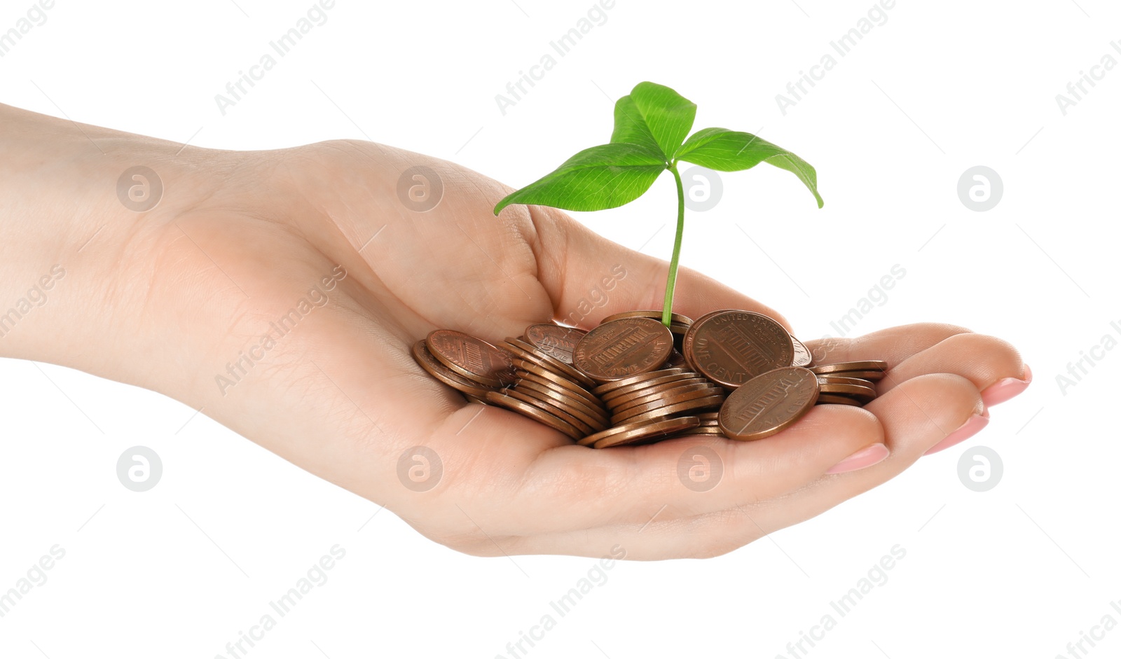 Photo of Woman holding coins with green sprout on white background, closeup