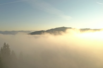 Photo of Aerial view of beautiful conifer trees in mountains covered with fog at sunrise