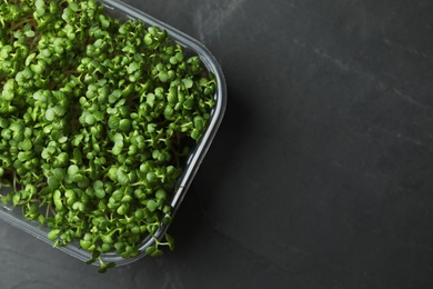 Photo of Sprouted arugula seeds in plastic container on grey table, top view. Space for text