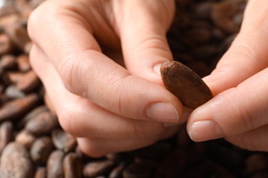 Woman holding cocoa bean, closeup of hands