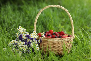 Wicker basket with different fresh ripe berries and beautiful flowers in green grass outdoors