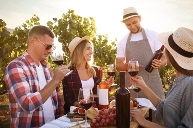 Friends holding glasses of wine and having fun in vineyard