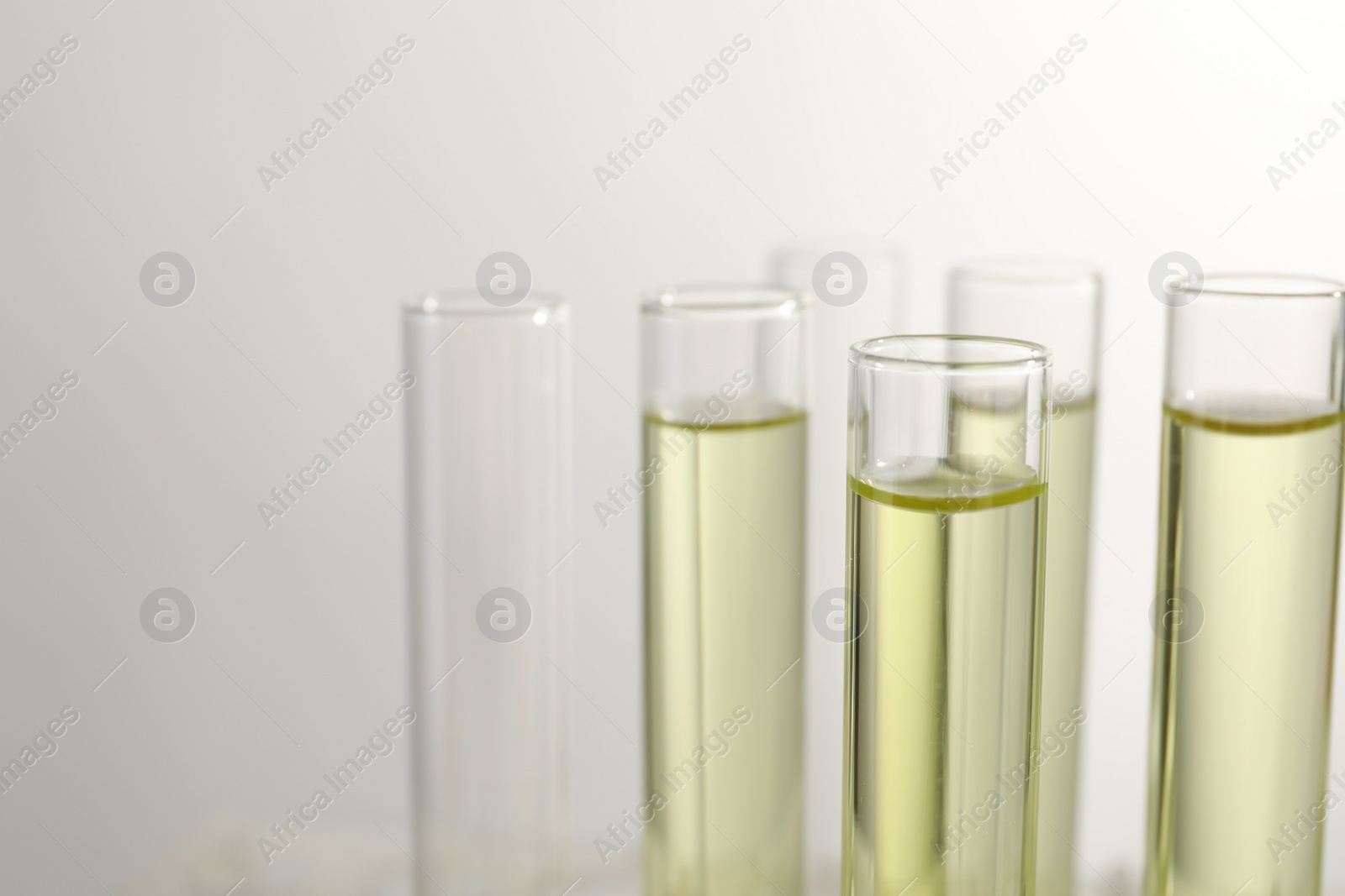 Photo of Test tubes with urine samples for analysis on light grey background, closeup