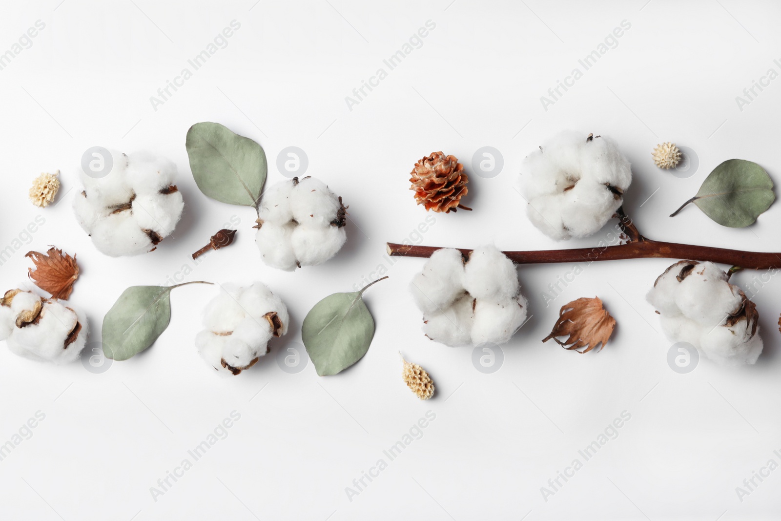 Photo of Composition with cotton flowers on white background, top view