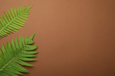 Photo of Beautiful tropical fern leaves on brown background, flat lay. Space for text