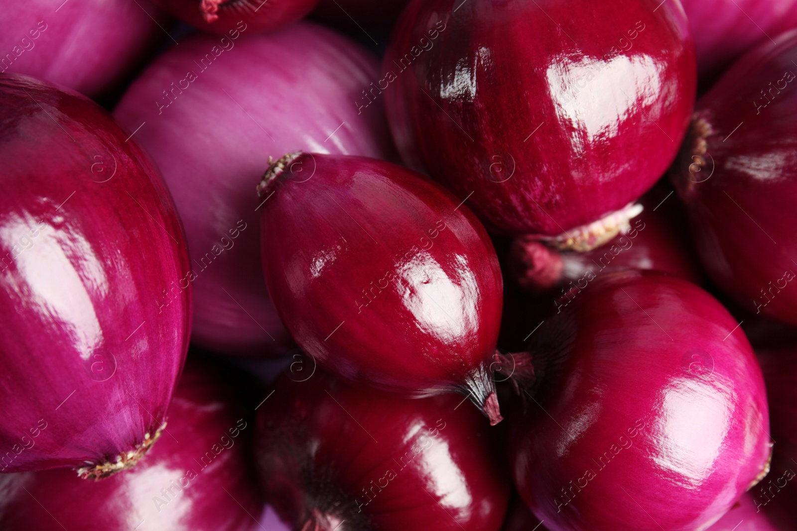 Photo of Pile of fresh red onions as background, closeup