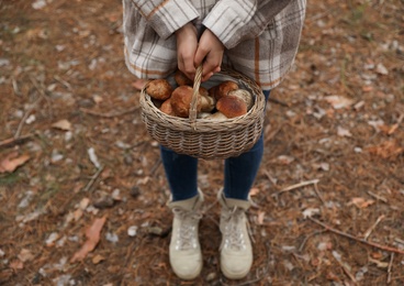 Woman with basket full of wild mushrooms in autumn forest, closeup