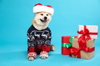 Cute Akita Inu dog in Christmas sweater and Santa hat near gift boxes on blue background