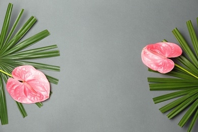 Photo of Creative composition with anthurium flowers and tropical leaves on gray background, flat lay