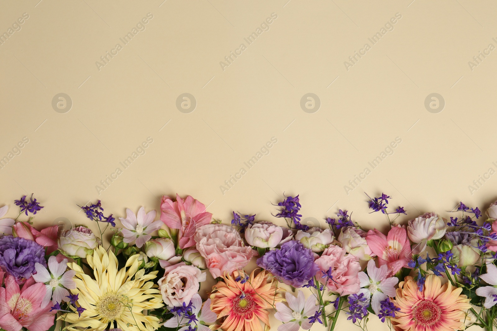 Photo of Flat lay composition with different beautiful flowers on beige background, space for text