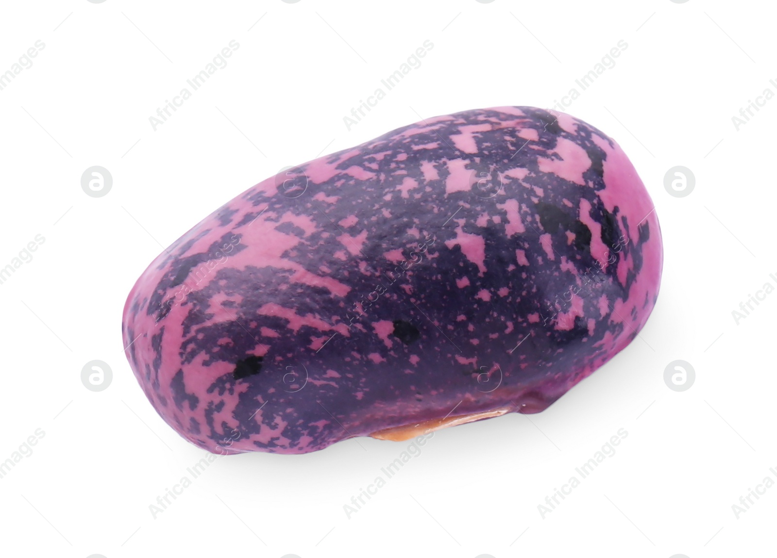 Photo of Dry kidney bean isolated on white, top view