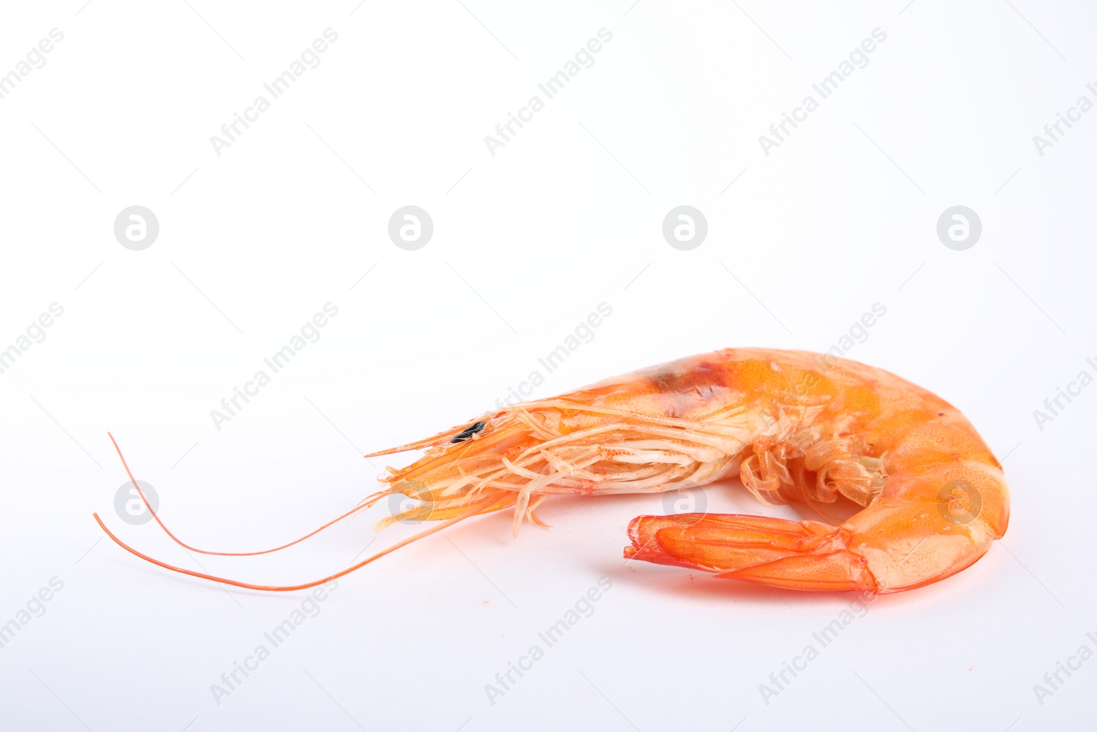 Photo of Delicious cooked whole shrimp isolated on white