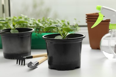Photo of Seedlings growing in plastic containers with soil, gardening tools and spray bottle on windowsill