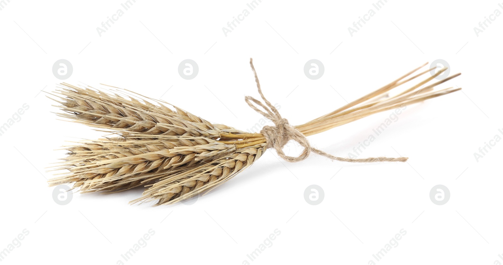 Photo of Ears of wheat on white background. Cereal plant