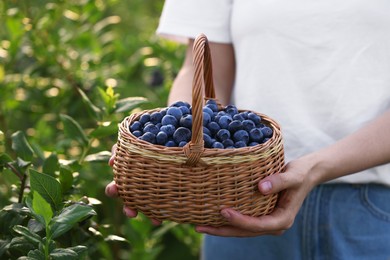 Woman with wicker basket of fresh blueberries outdoors, closeup. Seasonal berries