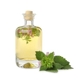Glass bottle of nettle oil with flowers and leaves isolated on white