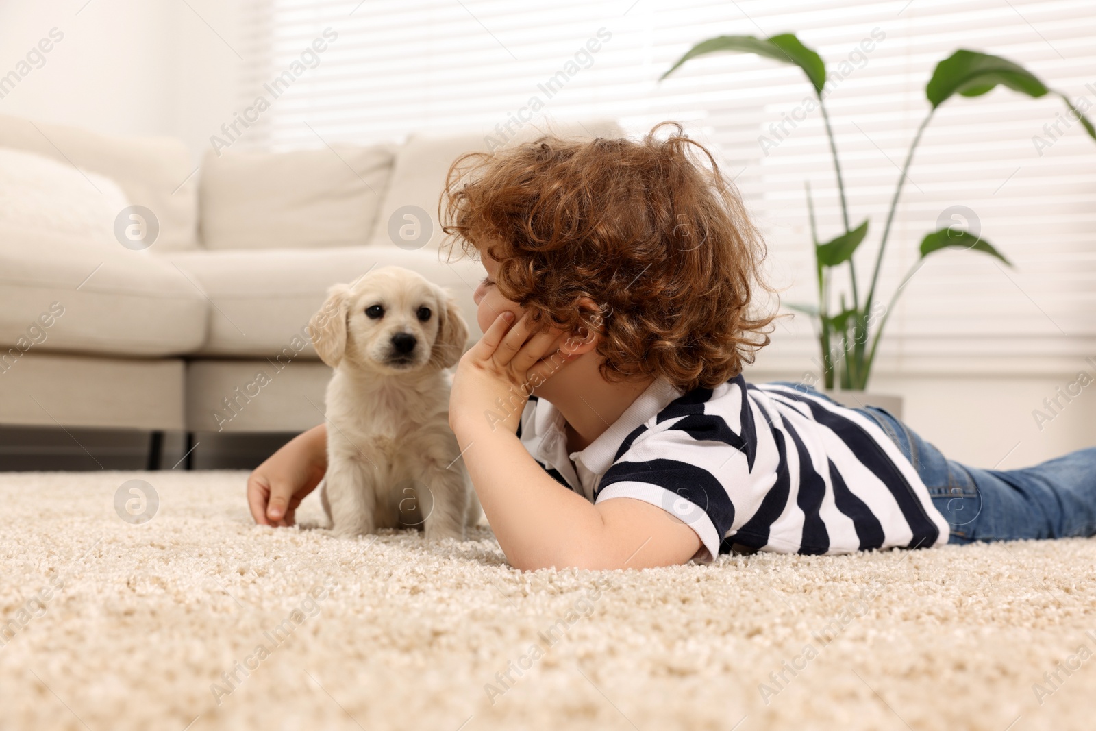 Photo of Little boy with cute puppy on beige carpet indoors