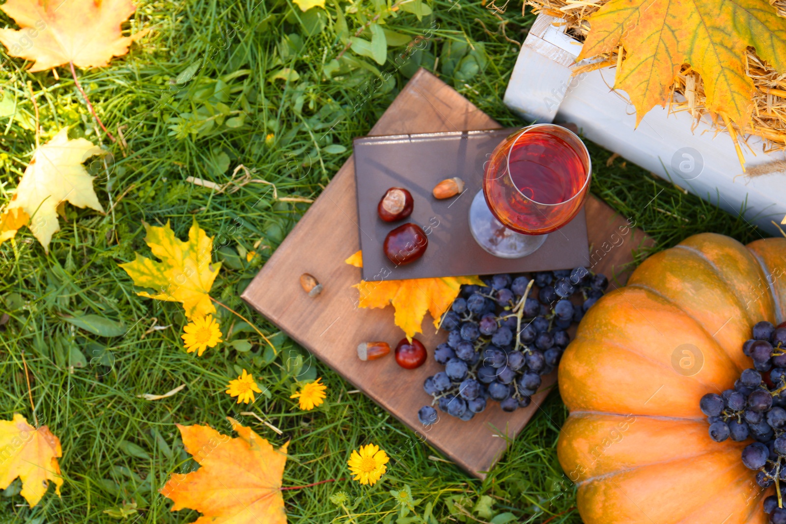 Photo of Glass of wine, book and grapes on green grass, above view. Autumn picnic