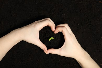 Photo of Woman making heart with hands near green seedling on soil, top view