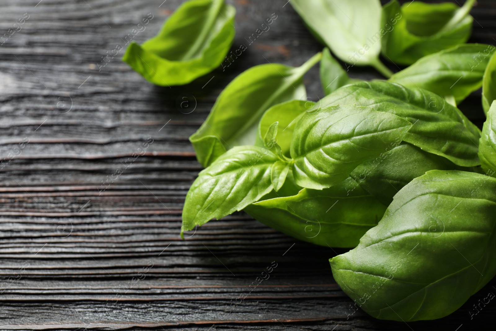 Photo of Fresh green basil on black wooden table, closeup