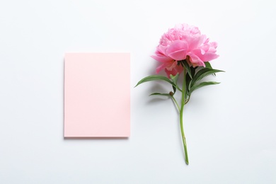 Beautiful peony flower and blank card on white background