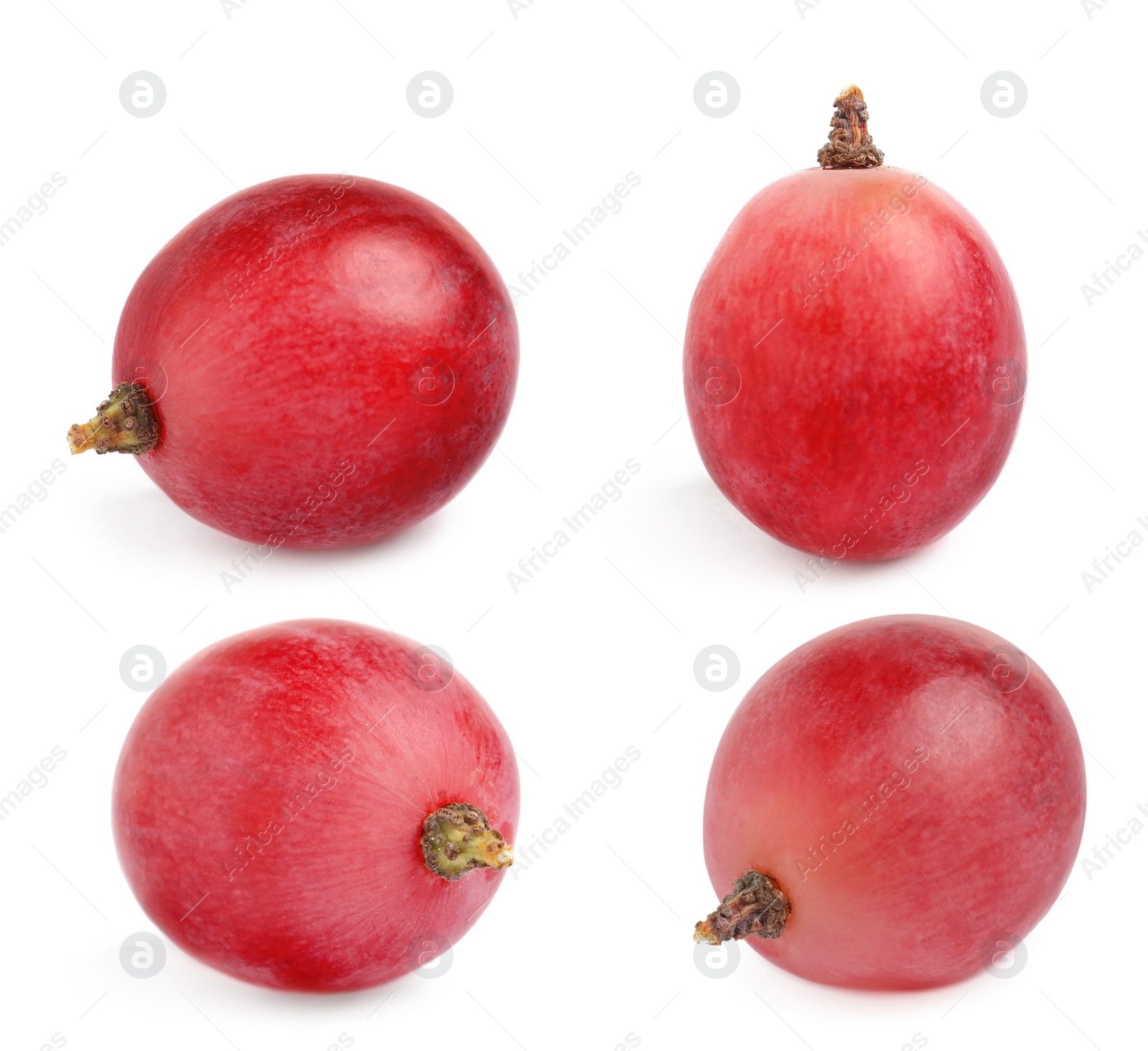 Image of Set of fresh grapes on white background