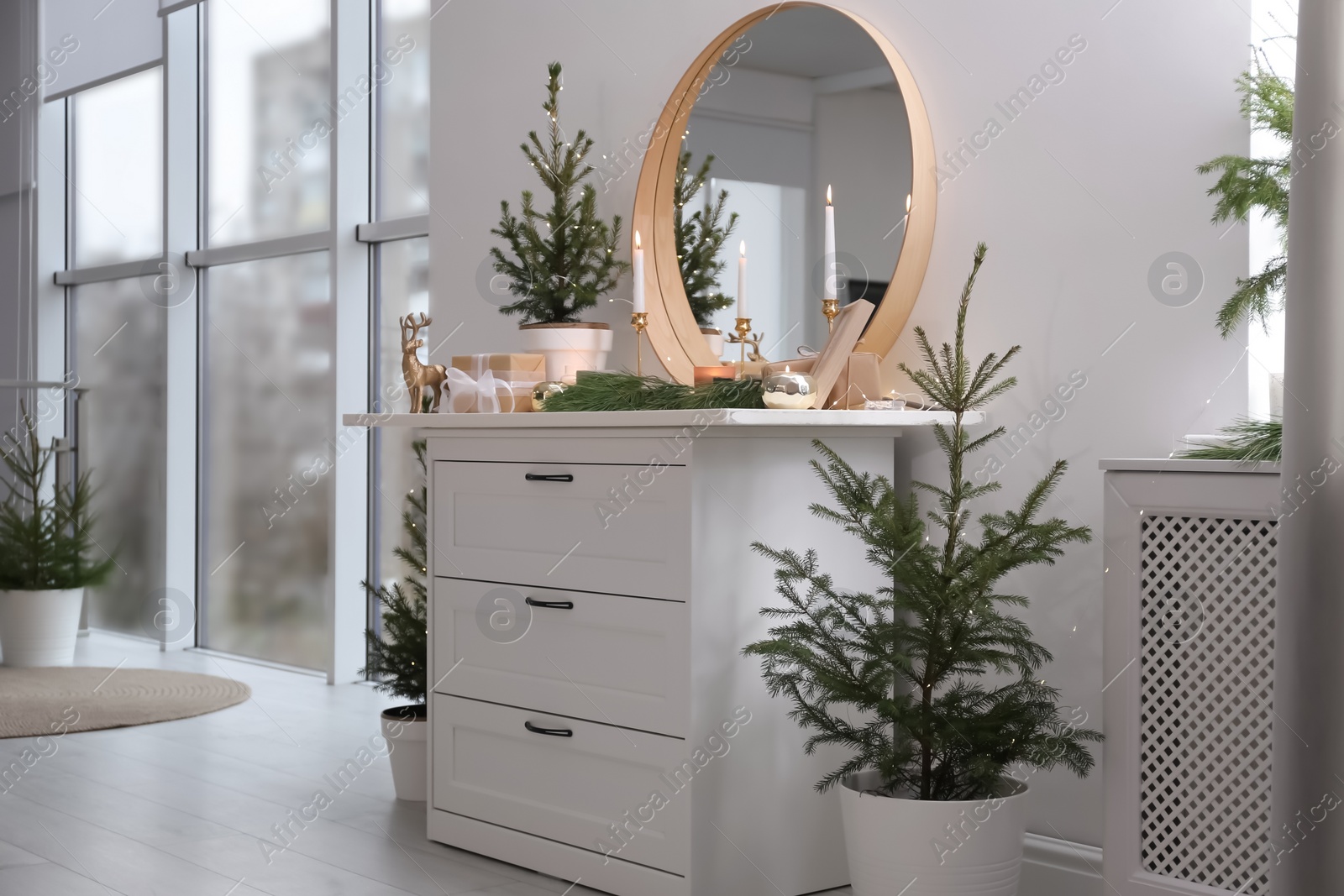 Photo of Beautiful room decorated for Christmas with potted firs. Interior design