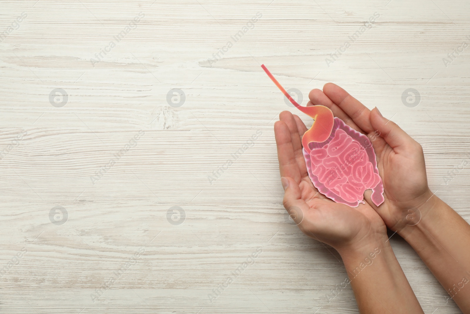 Photo of Woman holding paper cutout of small intestine on white wooden background, top view. Space for text