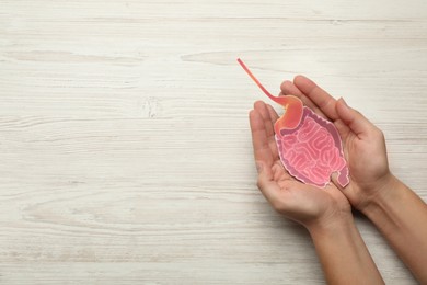 Photo of Woman holding paper cutout of small intestine on white wooden background, top view. Space for text