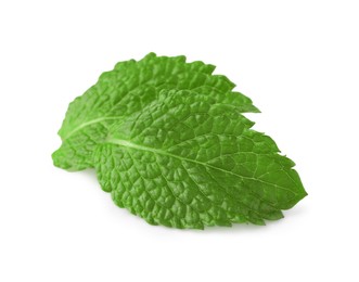 Photo of Fresh green mint leaves isolated on white