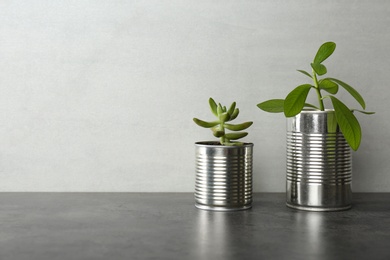 Photo of Beautiful houseplants in tin cans on grey stone table, space for text