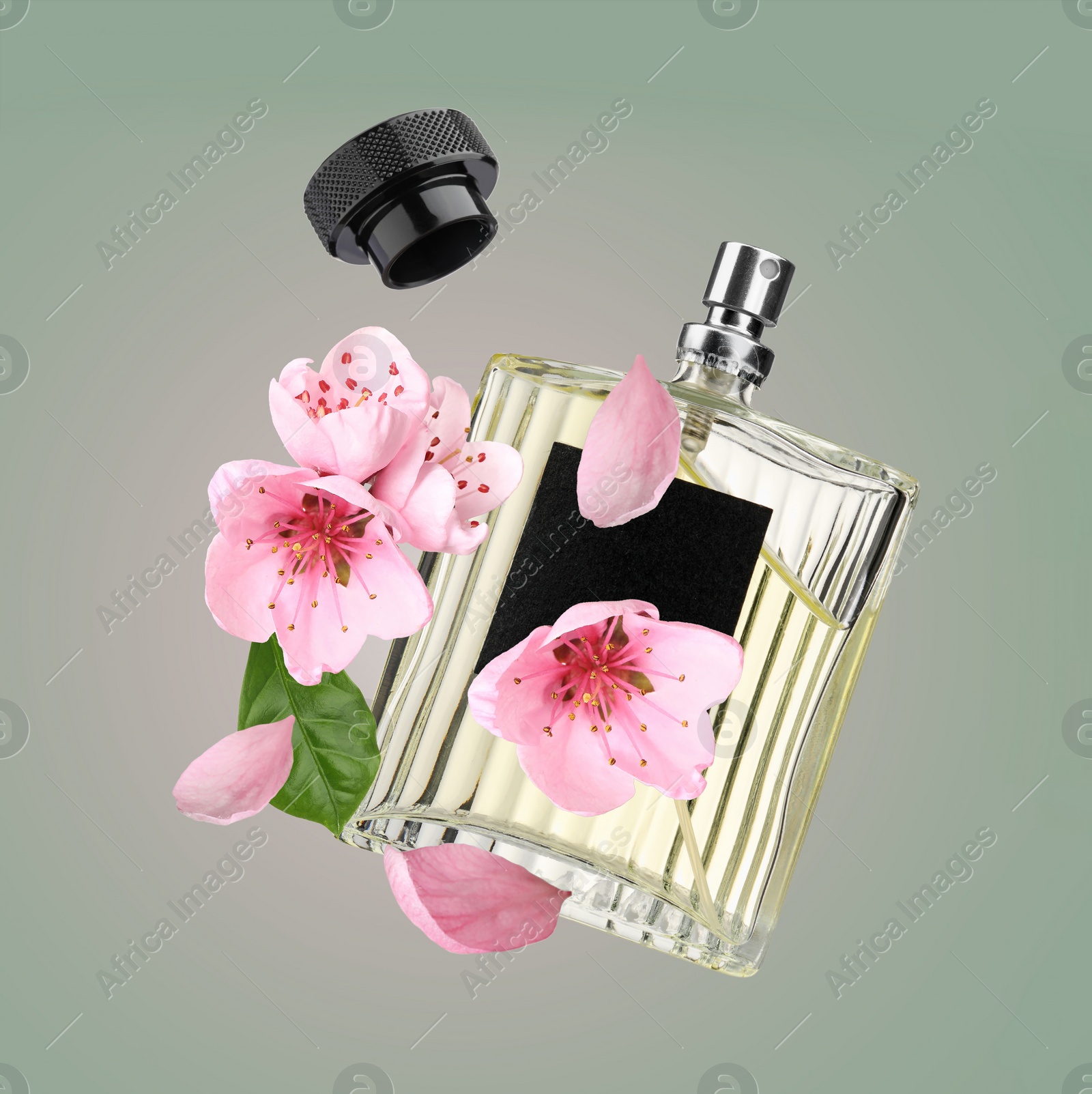 Image of Bottle of perfume and sakura flowers in air on color gradient background