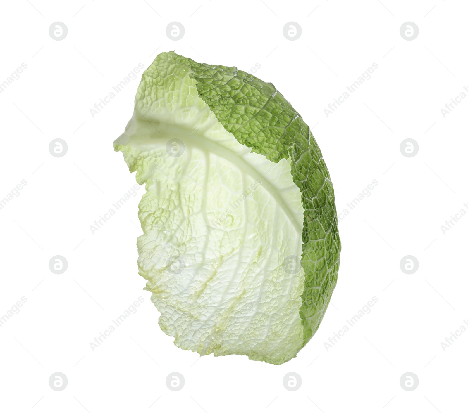 Photo of Green leaf of savoy cabbage isolated on white