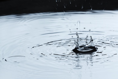 Photo of Rain drops falling down into puddle outdoors