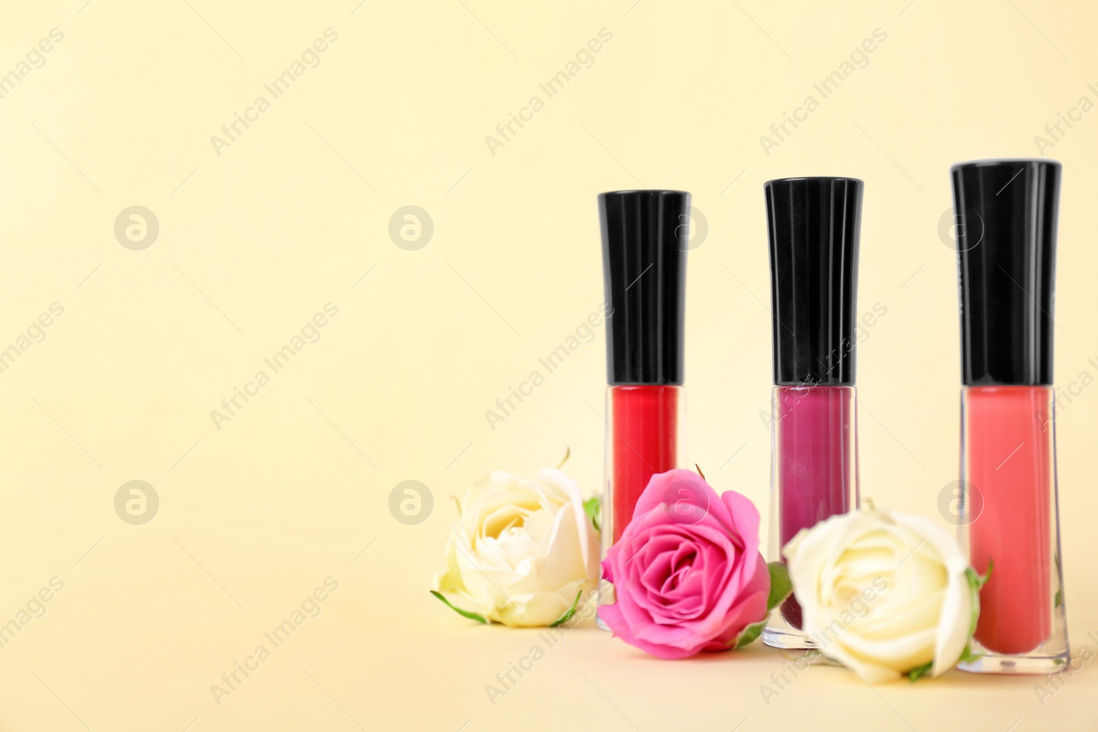 Photo of Lip glosses and flowers on color background