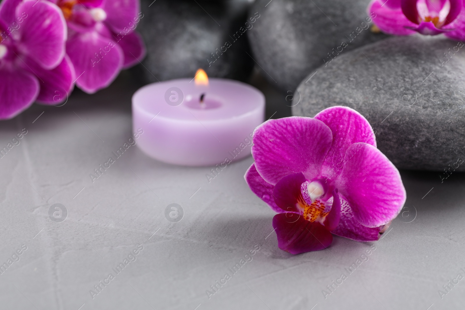 Photo of Spa stones, orchid flowers and candle on grey table, closeup