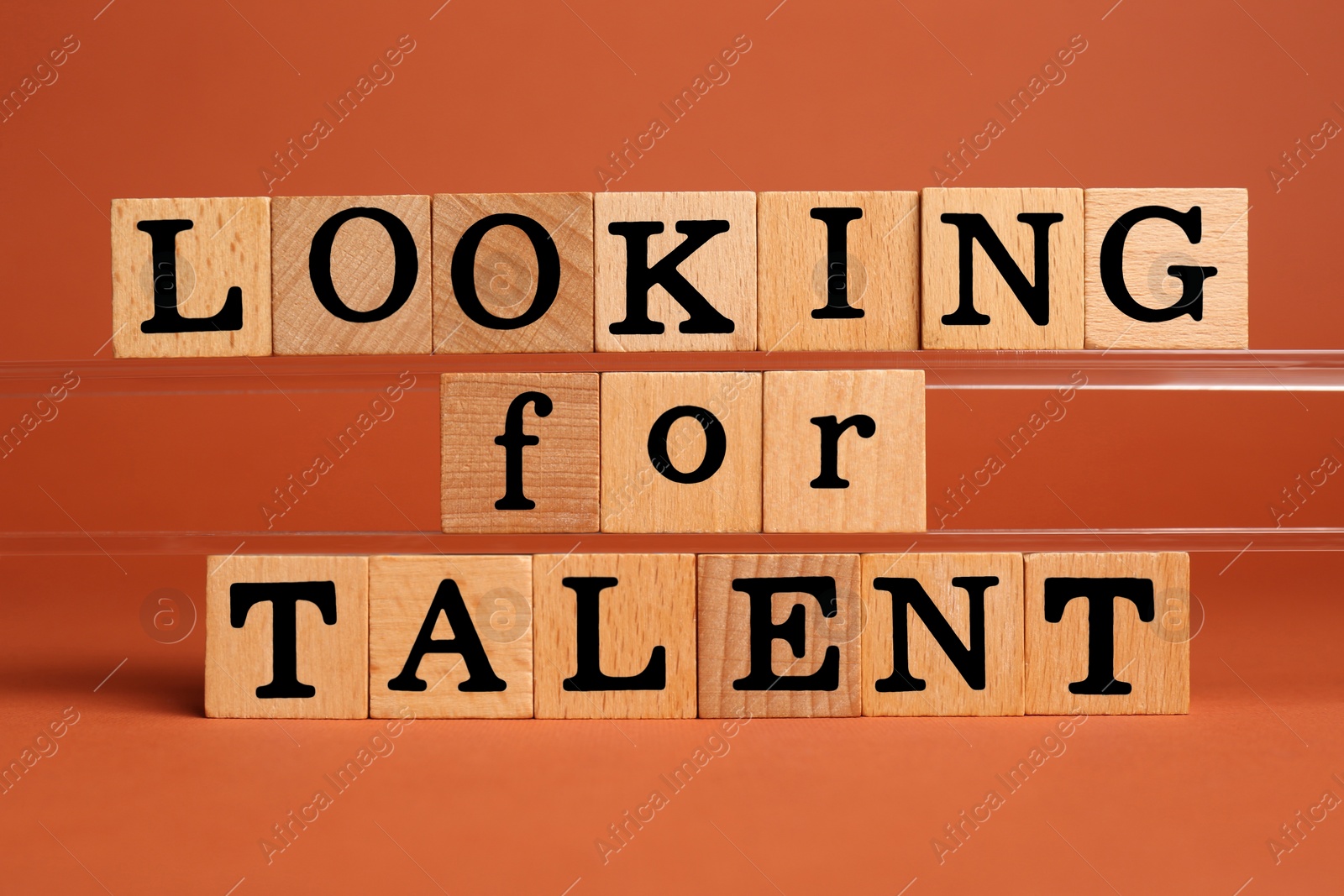 Photo of Recruitment and hiring concept. Phrase Looking For Talent made of wooden cubes on orange background