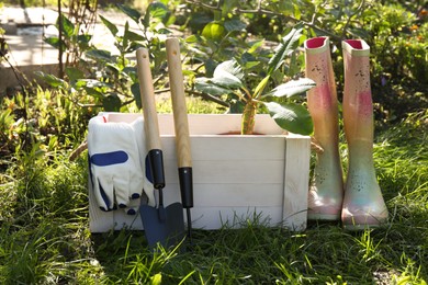 White wooden crate with plant, gloves, gardening tools and rubber boots on grass outdoors