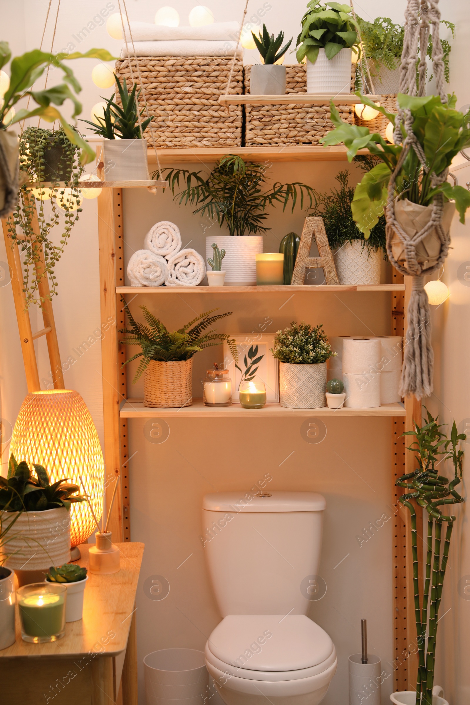 Photo of Stylish bathroom interior with toilet bowl and green plants