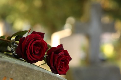 Photo of Red roses on grey tombstone outdoors on sunny day, space for text. Funeral ceremony
