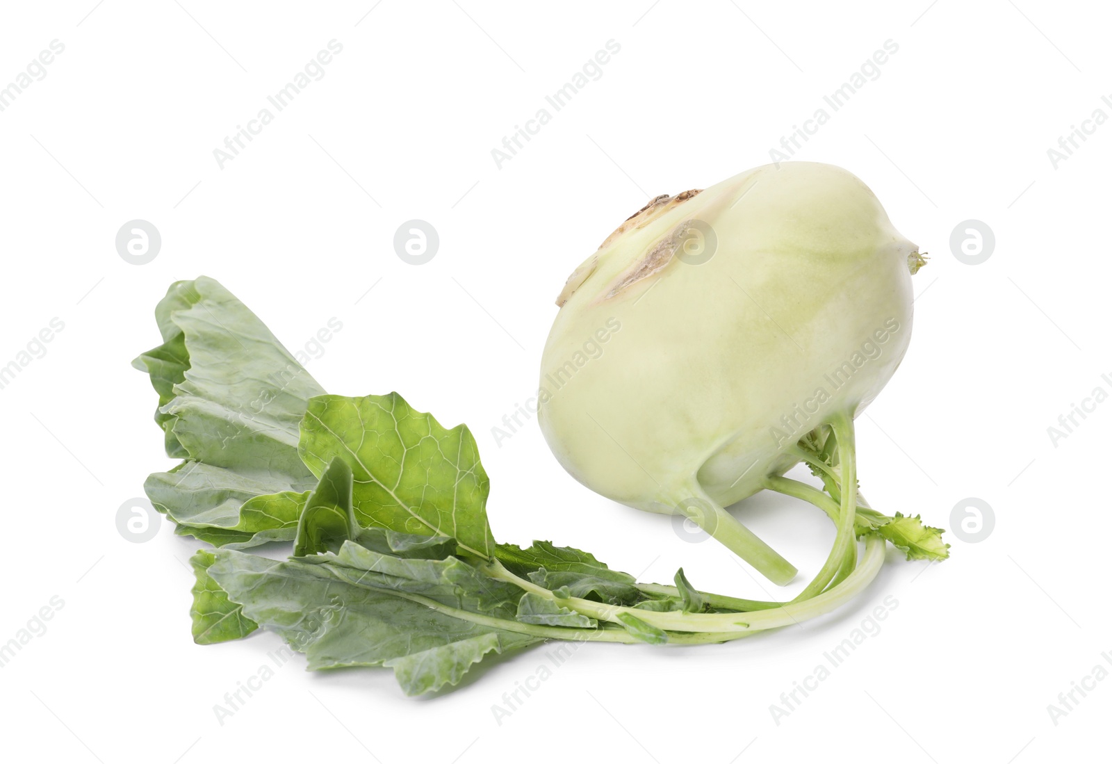 Photo of Whole ripe kohlrabi plant with leaves on white background