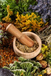 Photo of Mortar with pestle and many different herbs